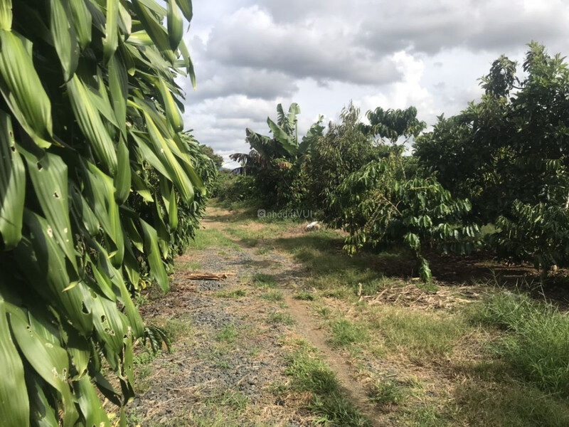 Đất nền BẢO LỘC-LÂM ĐỒNG ĐÓN GIÓ ĐÔNG TÌM LONG MẠCH GIÁ RẼ , LỢI NHUẬN CAO